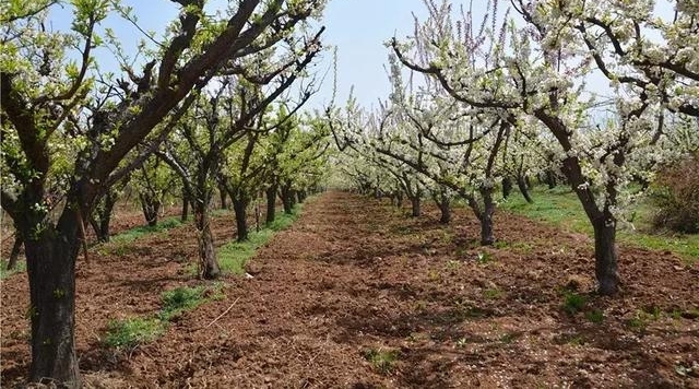 û���Ķ仨�ܽ���ס  ��������  �ⳡ���µ�����