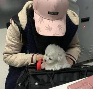 �и��˻𳵰��챻�ܣ��������ȴ����������