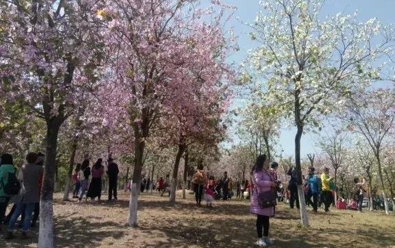 ���ݻ�ũ�Ļ��������ޣ����û����ɾ���