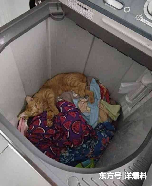 ��׼��ϴ�·���һ��ϴ�»�˲�䱻��ɵ��,��������������Ӱ���