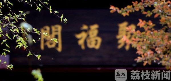 ����éɽ������һ�괺�ô�