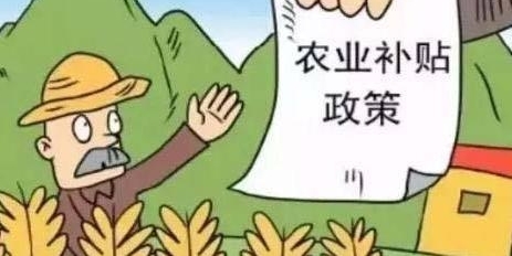���꣬��8�ಹ����ֱ�Ӵ�������˻��������