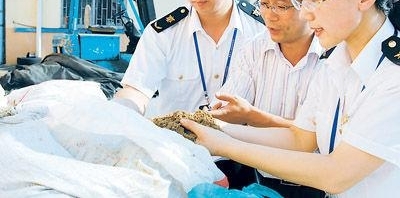 广东检验检疫局发布2017年度进口消费品质量安全信息