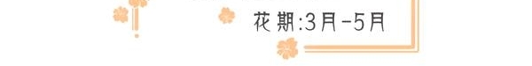 成都周边春色最撩人的8个地方,美到少女心炸裂!