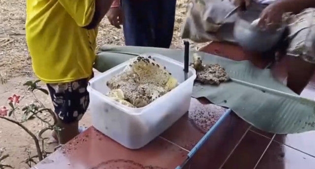 ��������·�ߵ���̥�ﴫ�����˵Ľ������߽���ȴ������ɵ����