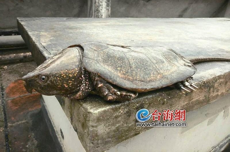 ������ſ�ͻȻſ��ֻ��ֶ��� һ�龹��...