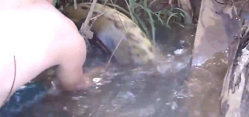 С�����㣬����ˮ�ݴԵײ������;��ԾԾ����׼�����ܣ�