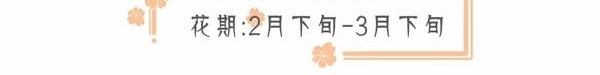 成都周边春色最撩人的8个地方,美到少女心炸裂!