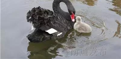 ��ͨ婺ӷ羰���ġ����족����챻���������Ĵ��ˡ�Ӣ�۾�����