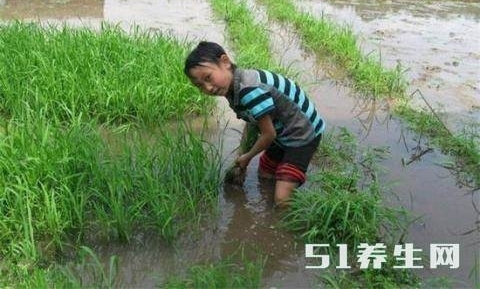 ʵ����ũ�����ӵ��һ̨�ڰ׵�����80��90�������õĻ���