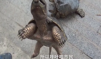 Ů�ӻ���ǧԪ������ֻ�������Ϲꡱ׼��������ר�ң�ǧ���ţ�