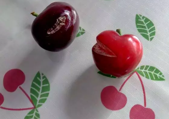 �ѿ�ˮ������������Ϊ����������ר������˵