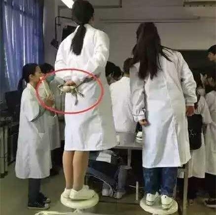 男子造假房产证、冒充梁静茹,诈骗数百万!谁给他的勇气?!