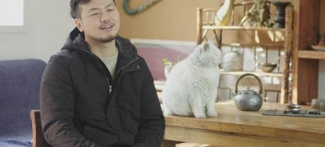 他把冰冷金属做成石头模样,却热心养流浪猫,身后白猫肥得不像话