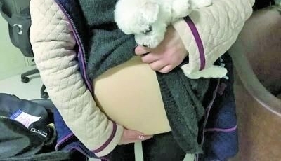�и��˻𳵰��챻�ܣ��������ȴ����������
