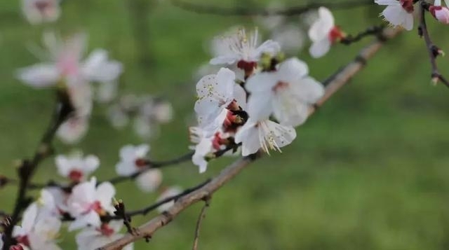 û���Ķ仨�ܽ���ס  ��������  �ⳡ���µ�����