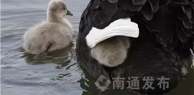 ��ͨ婺ӷ羰���ġ����족����챻���������Ĵ��ˡ�Ӣ�۾�����