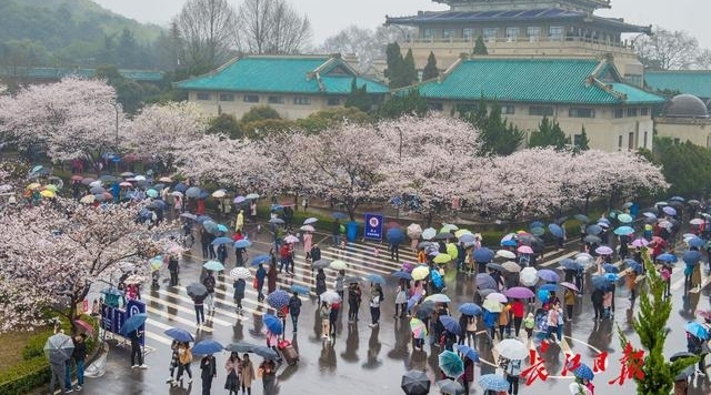 十堰郁金香文化旅游节开幕 凭高速过路费小票可优惠10元