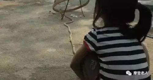 ����Ƭ��ÿһ�Ŷ��������������Ĺ��£�