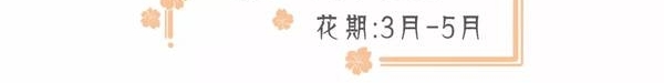 成都周边春色最撩人的8个地方,美到少女心炸裂!