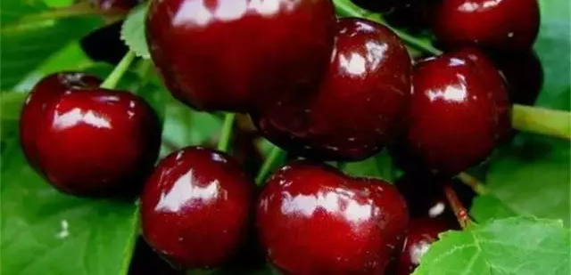 �ѿ�ˮ������������Ϊ����������ר������˵