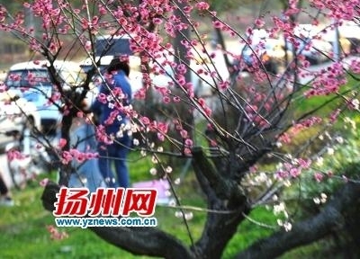 ������ƴ8�쳤�� �ͻ��γ��������⣬�Լ���������