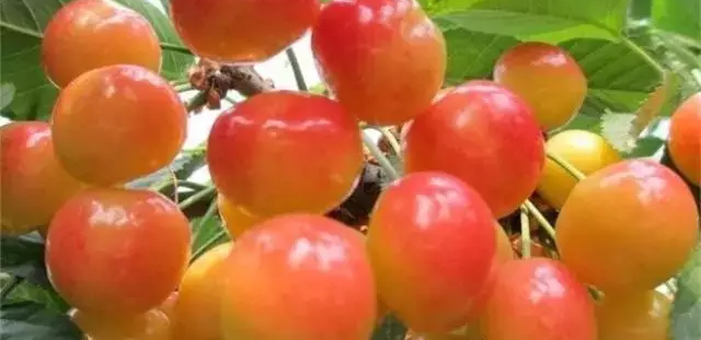 �ѿ�ˮ������������Ϊ����������ר������˵