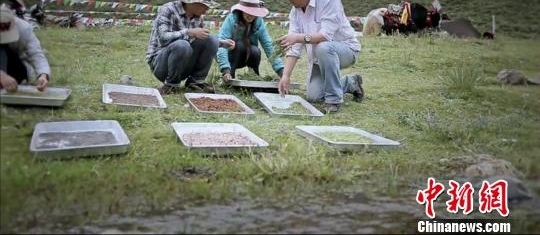 追忆钟扬:一位奔走在青藏高原的“追梦者”