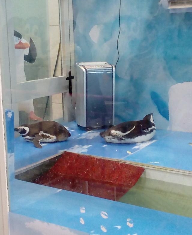 �½�����С��Ʒ�ǣ���Ʒ�۸�͵���������