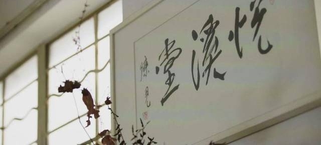 他把冰冷金属做成石头模样,却热心养流浪猫,身后白猫肥得不像话