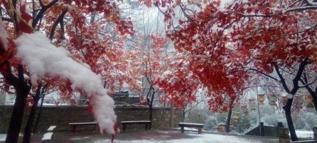 ��Ѷ��ƽɽ��ѩ�µúܴ�ʯ��ׯ��������������