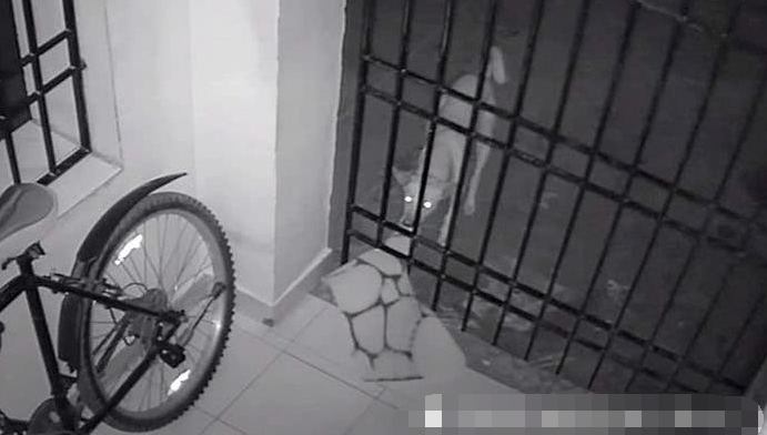 男子家中总是离奇失窃 监控拍下的“小偷”让他大吃一惊!