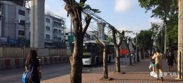 �е�������ͷ��ŭ̩������ ������а����ⷣ��