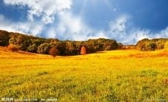 ��ȷ���ܶ�Ŀ���Ӧ��ô�����Ǿ�����׼ͻ�ƿ�
