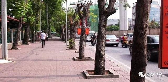 �е�������ͷ��ŭ̩������ ������а����ⷣ��