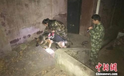 巾帼不让须眉 美女宠物店长“变身”成为警犬训导员
