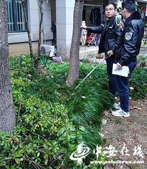 小区绿化树影响自家采光 城管告诉你如何处理