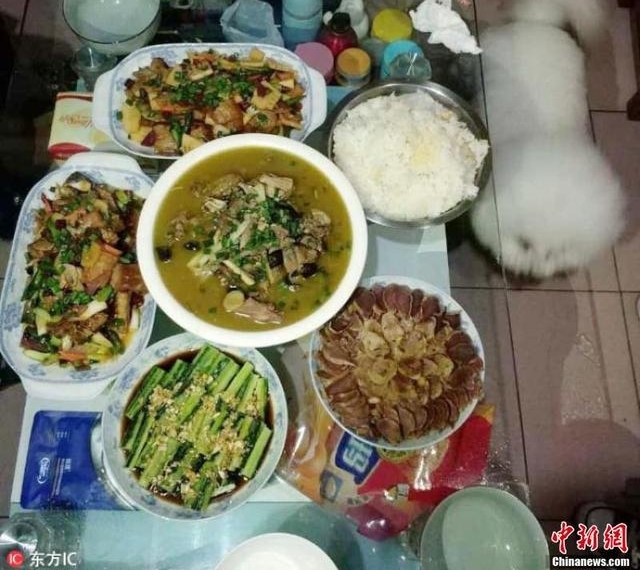 ����һ������20��ʳ�ķ�У Ϊ������������ȫϯ��