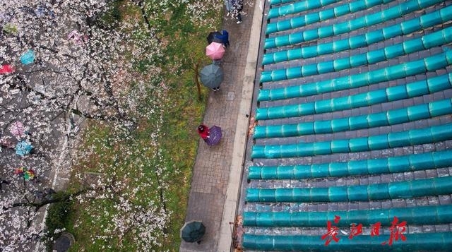 十堰郁金香文化旅游节开幕 凭高速过路费小票可优惠10元