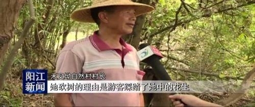 ���޺�ȸ������ ��ҵ���Ž������