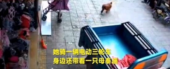 男子造假房产证、冒充梁静茹,诈骗数百万!谁给他的勇气?!