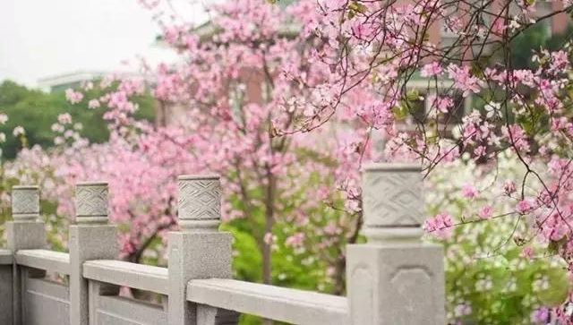 ���ݻ�ũ�Ļ��������ޣ����û����ɾ���