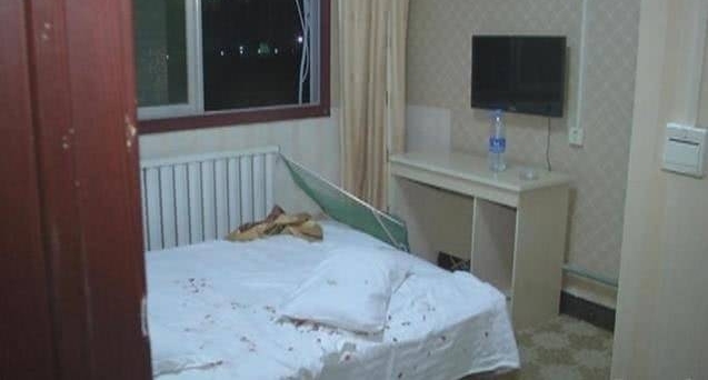 宾馆枕头惊现刺猬,住店女子屁股被刺伤!