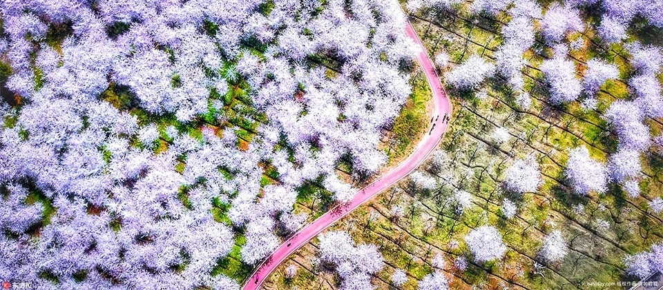 ����ͼ�㣺Ů���ﳵ�����Ķ���ͻȻ���� ����󷽽γ���ѹ