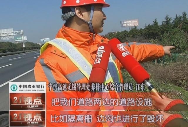 可恶!沪宁高速无锡段千棵树木被偷偷“斩首” 绵延长达三公里