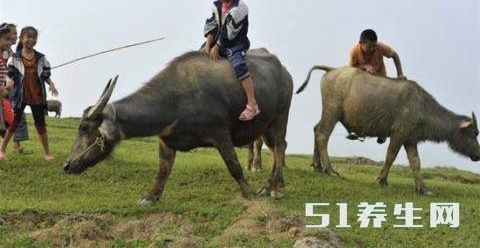 ʵ����ũ�����ӵ��һ̨�ڰ׵�����80��90�������õĻ���