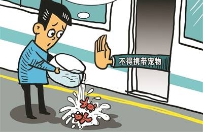 争论金鱼能否进地铁之后该关注什么