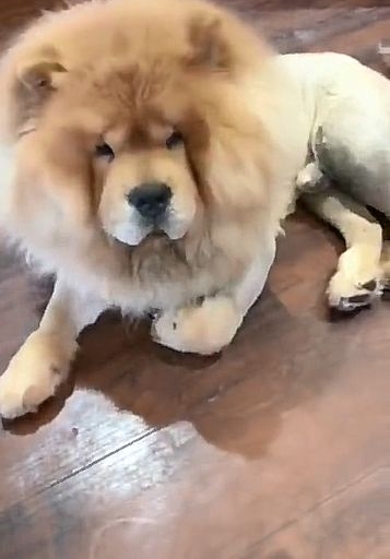 ����ȥ���Ѽ����ͣ������������Ĺ��������������ʱ�Ż���
