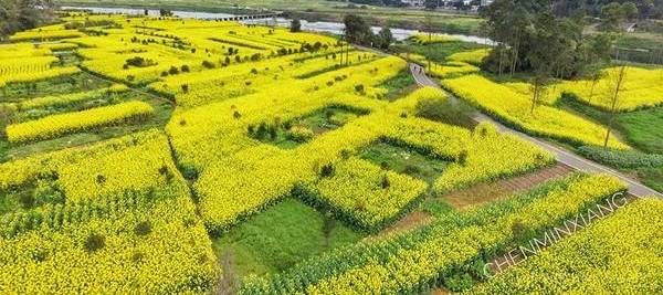 成都周边春色最撩人的8个地方,美到少女心炸裂!