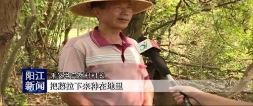 ���޺�ȸ������ ��ҵ���Ž������